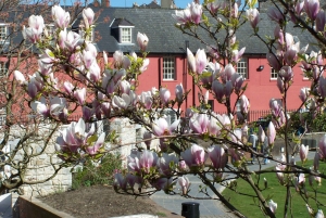 Dublin: Kohokohdat ja piilotetut kulmat -kävelykierros