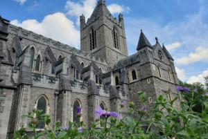 Dublin: Historic Landmarks Walking Tour