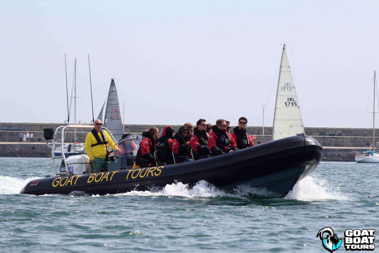 Dublin : tour en bateau avec commentaires en direct sur l'histoire et la faune