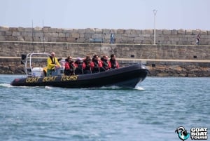 Dublin: History and Wildlife Boat Tour with Live Commentary