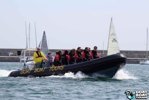 Dublin : tour en bateau avec commentaires en direct sur l'histoire et la faune