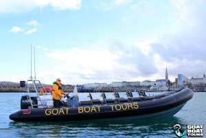 Dublin : tour en bateau avec commentaires en direct sur l'histoire et la faune