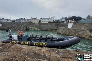 Dublin : tour en bateau avec commentaires en direct sur l'histoire et la faune