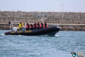 Dublin : tour en bateau avec commentaires en direct sur l'histoire et la faune