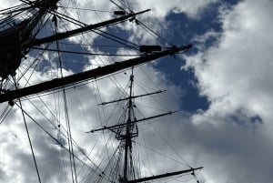 Dublin: Byvandring med Homeland Heritage