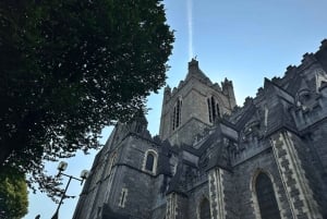 Dublin: Byvandring med Homeland Heritage