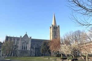 Dublin: Byvandring med Homeland Heritage