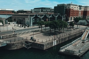 Dublin: Hop-on Hop-off Tour with Live German Commentary