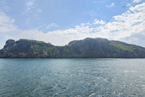 Dublino: scogliere di Howth e crociera in barca con l'occhio dell'Irlanda