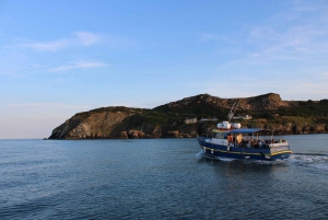 Dublín: Tour en barco por el faro y los acantilados de Howth