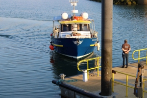 Dublín: Tour en barco por el faro y los acantilados de Howth