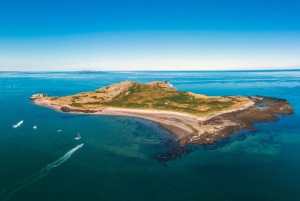 Dublin: Howth Lighthouse og omvisning med båt på klippene