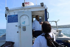 Dublín: Tour en barco por el faro y los acantilados de Howth