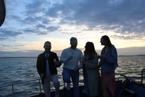 Dublín: Tour en barco por el faro y los acantilados de Howth