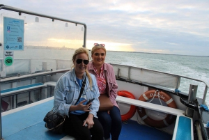 Dublin: Howth Lighthouse og omvisning med båt på klippene