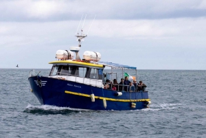 Dublín: Tour en barco por el faro y los acantilados de Howth