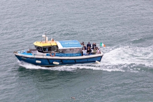 Dublin: Howth Lighthouse og omvisning med båt på klippene