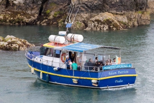 Dublin: Howth Lighthouse og omvisning med båt på klippene