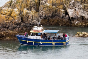 Dublin: Howth Lighthouse og omvisning med båt på klippene