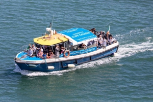 Dublin: Farol de Howth e passeio de barco pelos penhascos