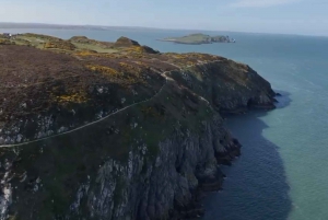 Dublin: Howth Lighthouse og omvisning med båt på klippene