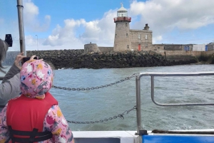 Dublin: Howth fyrtårn og bådtur på klipperne