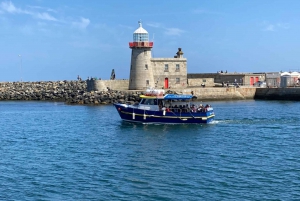 Dublin: Howth fyrtårn og bådtur på klipperne