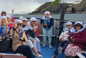 Dublin: Farol de Howth e passeio de barco pelos penhascos