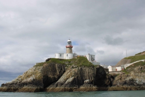 Dublin: Howth fyrtårn og bådtur på klipperne