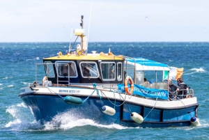 Dublin: Howth Lighthouse og omvisning med båt på klippene