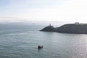 Dublin: Howth Lighthouse og omvisning med båt på klippene