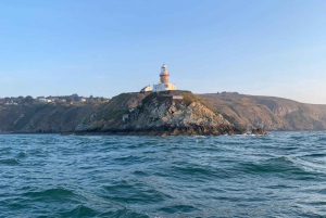 Dublin: Farol de Howth e passeio de barco pelos penhascos