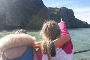 Dublin: Howth Lighthouse og omvisning med båt på klippene