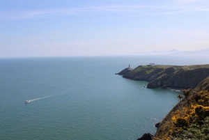 Dublín: Tour en barco por el faro y los acantilados de Howth