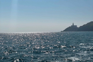 Dublin: Howth Lighthouse and Cliffs Bootstour