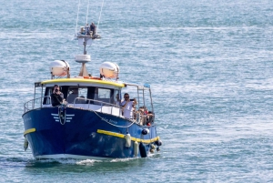 Dublin: Howth Lighthouse and Cliffs Boat Tour