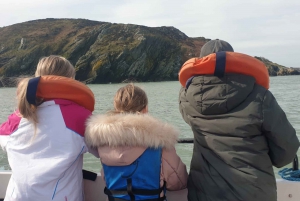 Dublin : Tour en bateau du phare et des falaises de Howth