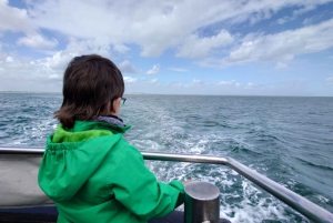 Dublin: Howth fyrtårn og bådtur på klipperne