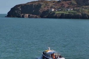 Dublin: Howth Lighthouse og omvisning med båt på klippene