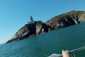 Dublin: Howth fyrtårn og bådtur på klipperne