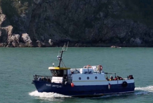 Dublin: Howth Lighthouse og omvisning med båt på klippene