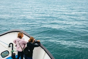 Dublin: Howth Coast and Ireland's Eye Boat Tour