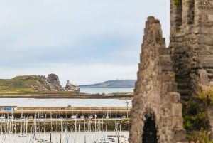 Dublin: Howth Coast and Ireland's Eye Boat Tour
