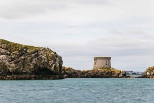 Dublin: Howth Coast and Ireland's Eye Boat Tour