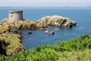 Dublín: tour en barco por la costa de Howth con Ireland's Eye Ferries
