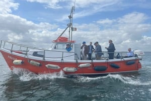 Dublin: Howth Coastal Boat Tour med Ireland's Eye Ferries