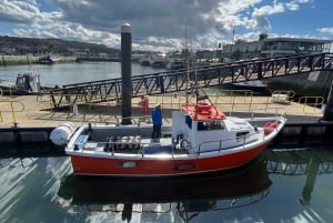 Dublin: Howth Coastal Boat Tour med Ireland's Eye Ferries