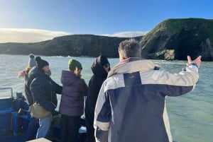 Dublin: Howth Coastal Boat Tour