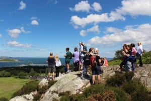 Dublín: Excursión a pie por la península de Howth
