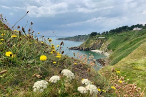 Dublin: Howth Hiking Adventure